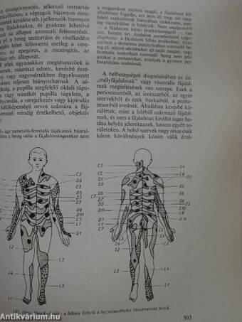 Belbetegségek elkülönítő diagnózisa I-II.