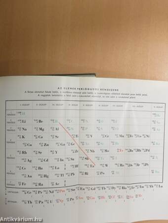 Az emberi test 1. (töredék)