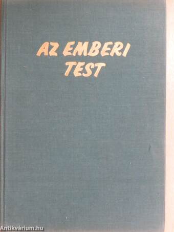 Az emberi test 1. (töredék)