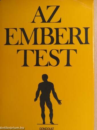 Az emberi test 1. (töredék)