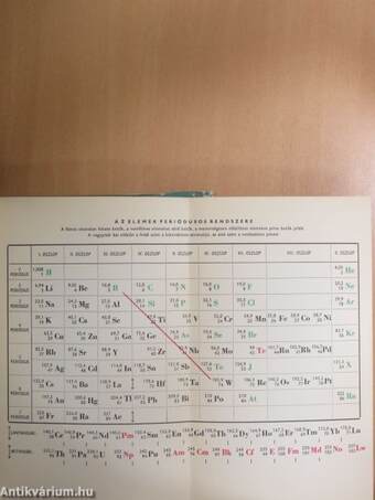 Az emberi test 1. (töredék)