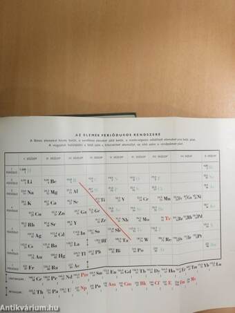 Az emberi test 1. (töredék)