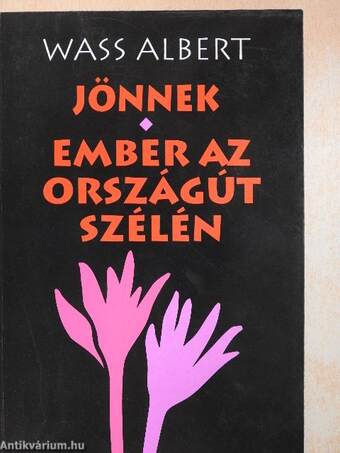 Jönnek/Ember az országút szélén