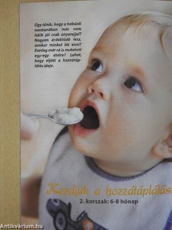 Babatáplálási kiskönyv