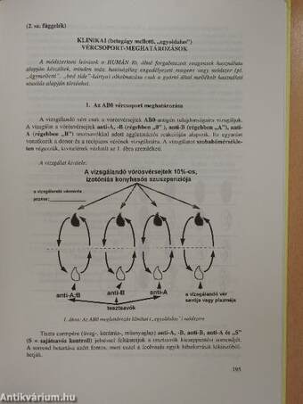 Transzfúziós alapismeretek és transzfuziológiai szabályzat