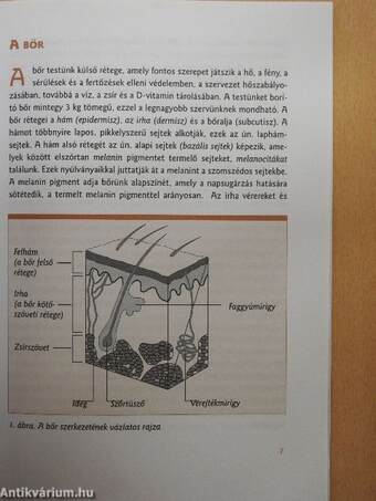 Amit a bőrrákról és a melanoma malignumról tudni kell