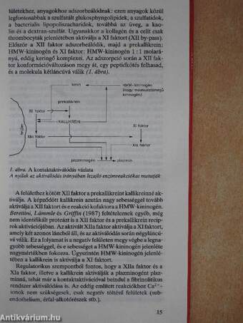 Antikoaguláns kezelés - fibrinolitikus therapia