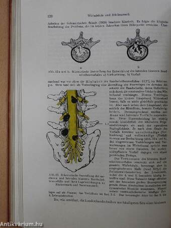 Lehrbuch der Speziellen Chirurgie I.