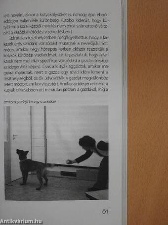 Csányi Vilmos Kutyaakadémiája