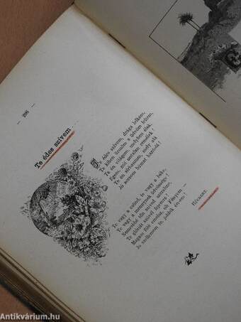 Idegen költők albuma