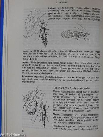 Biologiskt växtskydd i trädgarden