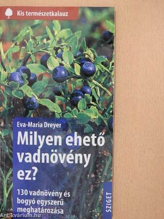 Milyen ehető vadnövény ez?