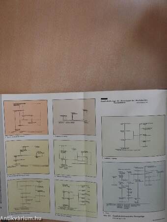 Lehrbuch der Allgemeinen Geographie IV.