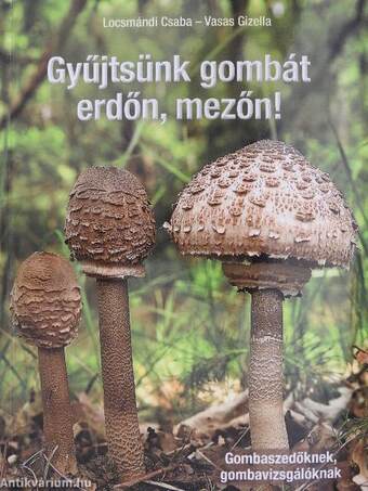 Gyűjtsünk gombát erdőn, mezőn!