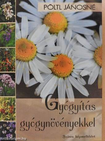 Gyógyítás gyógynövényekkel