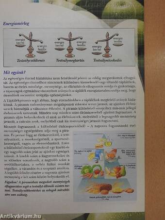 Testsúlycsökkentés 10-20-30 módszerrel