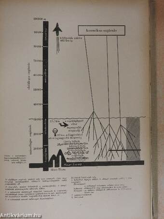 Korunk óriása az atom