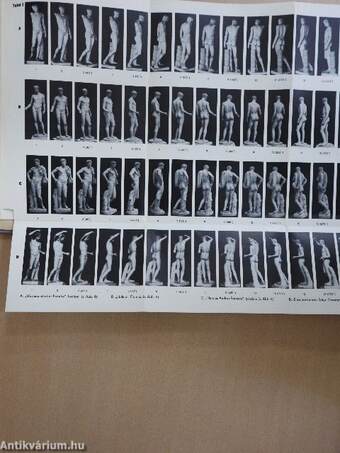 Griechische Plastik III. (töredék)