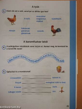 Nagybetűs írásfüzetem/Olvasásfüzet