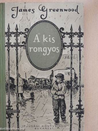 A kis rongyos
