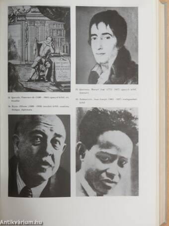 Világirodalmi Lexikon 11. (töredék)