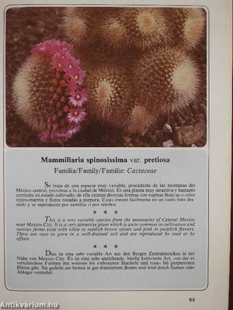 Cactus y Plantas Crasas