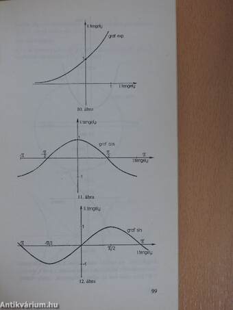 A biológiai modellezés matematikai alapjai I. (töredék)