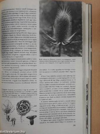 Urania Növényvilág - Magasabbrendű növények II.