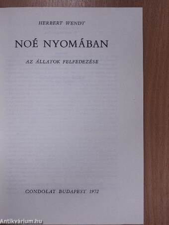 Noé nyomában