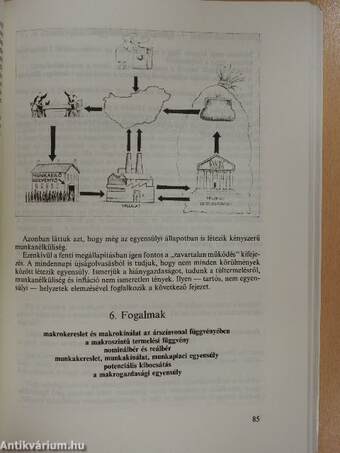 Közgazdaságtan II.