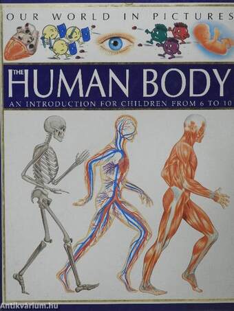 The Human Body