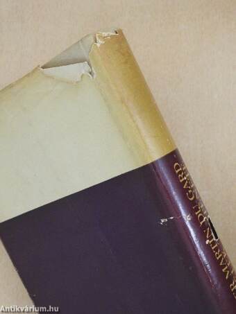 Egy lélek története