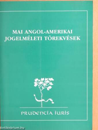 Mai angol-amerikai jogelméleti törekvések