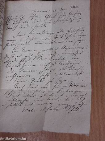 "27 kötet a Friedrich von Shcillers Werke sorozatból" (nem teljes sorozat)/Friedrich von Schillers Leben und Wirken als Mensch und Gelehrter (gótbetűs)