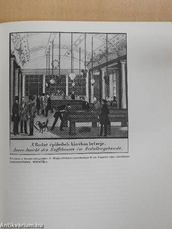 A Vigadó története