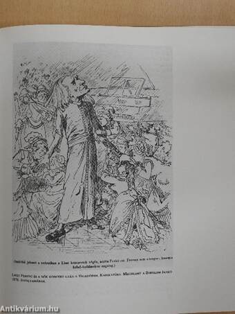 A Vigadó története