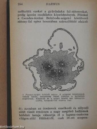 Egy természettudós utazása a Föld körül I-II.