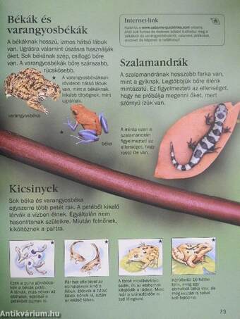 Gyermekenciklopédia