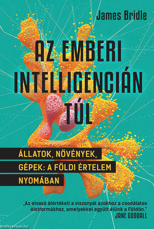 Az emberi intelligencián túl