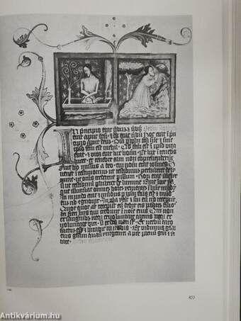 Magyarországi művészet II. (töredék)