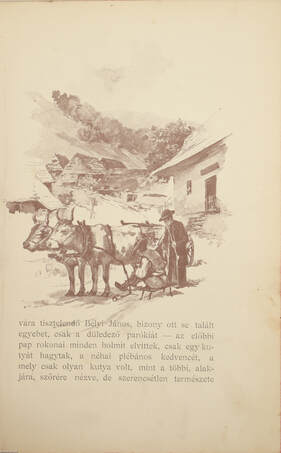 Szent Péter esernyője (dedikált példány)