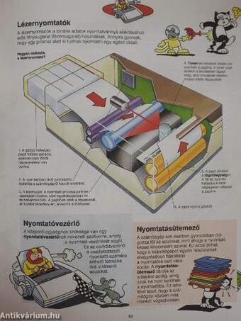 A számítógépről kezdőknek