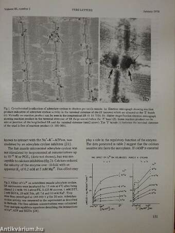 Febs Letters Volume 85, Number 1-2./Volume 86, Number 1-2.