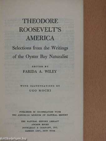 Theodore Roosevelt's America