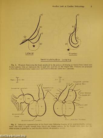 Progress in Cardiology 7