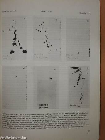 Febs Letters Volume 59, Number 1-2./Volume 60, Number 1-2./Master Index Volumes 51-60.