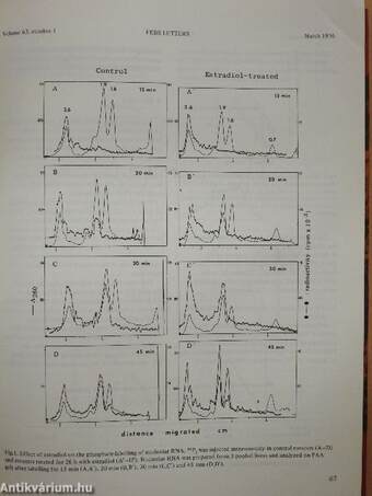 Febs Letters Volume 63, Number 1-2./Volume 64, Number 1-2.