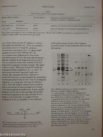 Febs Letters Volume 61, Number 1-2./Volume 62, Number 1-3.