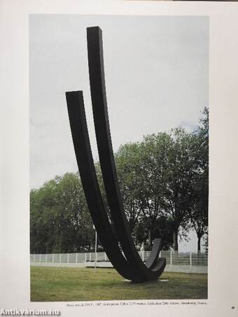 Bernar Venet