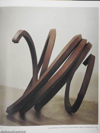 Bernar Venet